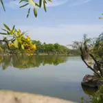 Bán lô góc dự án từ sơn garden city (vườn hồng) - từ sơn, bắc ninh