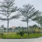 Bán gấp lô liền kề siêu đẹp vườn hồng nam hồng từ sơn garden. gần hồ điều hòa 7,2ha. giá 3xtr/m2
