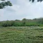 Bán đất xây dựng xưởng 1.5ha kcn giang điền, huyện trảng bom, đồng nai
