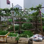 Chính chủ bán đất tân phong, thuỵ phương, ngõ thẳng tắp, gần ô tô tránh, giá 4,x tỷ