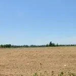Cần bấn gấp quĩ đất siêu đẹp mặt tiền đường đào trí, p. phú thuận, q7. giá bán: 500 tỷ -diện tích7200 m2