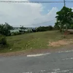 3 nền đất vị trí tốt tại thị trấn cần đước , long an , đất có sổ đầy đủ. giá đang cực tốt 580tr.