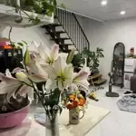 Bán nhà hiếm phố cổ ngay mặt phố lê lợi chợ hà đông ôtô đỗ sát nhà giá chỉ hơn 6tỷ 34m