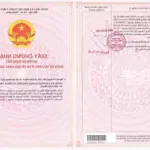 Bán đất tp dĩ an, diện tích 100m2 thổ cư 100%, giá chỉ 1 tỷ đồng
