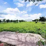 Cần bán đất mt nguyễn duy phương, tân kiên, bình chánh, tp. hcm. 120m2, shr
