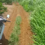 Giá tốt nhất thị trường, thu hồi vốn. 10x50 p. thống nhất, tx buôn hồ, đăk lăk
