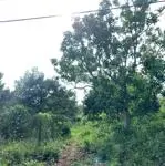 Chú tư gửi bán lô đất chính chủ chưa qua đầu tư. p, đoàn kết, tx buôn hồ, tỉnh đăk lăk