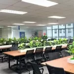 Cho thuê văn phòng tòa new skyline diện tích linh hoạt giá chỉ 10$/m2
