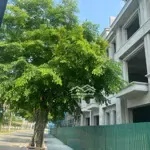 Lô biệt thự ngoại giao 210m2 mặt tiền 10m cách ngã tư sở hà nội 35km, duy nhất 10 lô giá tốt
