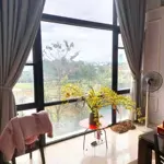 Siêu phẩm biệt thự mặt phố âu cơ 2 mặt tiền doanh thu thuê 2 tỷ/năm chỉ 133 tỷ