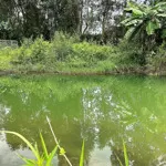 đất nền giá siêu rẻ - có ngân hàng hỗ trợ vay