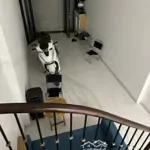 Bán nhà tdc tu hoàng ô tô tránh vỉa hè 41m2 10tỷ2
