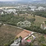 Bđs phân lô dương tơ phú quốc sổ riêng có thổ cư vị trí vàng gần biển trung tâm hành chính