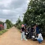 Cần bán lô đất cách ql26 chỉ 700 mét sổ hồng chính chủ, đường ô tô ngang 6m,giá tốt cho nhà đầu tư.