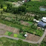 Bàu chinh khu dân cư 1412m2 có 300m2 thổ cư, chỉ 1.65 tỉ
