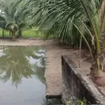 Chính chủ bán đất phước thuận gần hồ tràm thích hợp đầu tư sinh lời làm khu nghỉ dưỡng giá bán 7.2ty
