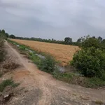 Bán Đất 18Ha (180000M2) Đường Xe Hơi Tại Mỹ Thạnh Tây, Đức Huệ, Long An