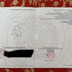 Bán nhà mặt tiền tại đường 835, thị trấn cần giuộc, cần giuộc, long an, 28 triệu, 995m2