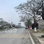 Cần bán lô đất kđt cựu viên, quận kiến an, tp hải phòng. dt 100m2 ngang 5m hướng tây giá hợp lý