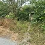 Chính chủ kẹt tiền bán 1050m2 đất , cần đước, long an