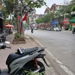 Chính chủ cần cho thuê biệt thự đơn lập tại mặt phố nguyễn văn lộc, mỗ lao, hà đông, hn.