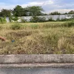 đất full thổ cư mặtmặt tiềnnguyễn trãi, giá ưu đãi - sổ sẵn công chứng ngay