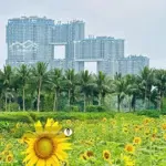 Mezza sky forest - làm 2 tầng từ 140m2 giá từ 7,xx tỷ - liên hệ: 0918114743
