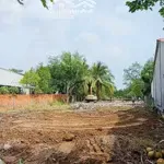 Chính chủ cần ra nhanh lô đất mặt tiền đường nhựa đối diẹn kcn cầu tràm giá bán 730 triệu/115m2