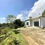 Bán nhanh để đi định cư nước ngoài. nhà nằm ngay mặt tiền nguyễn bá ngọc, 972m2 có 200m2 tc
