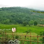 Cần chuyển nhượng nhanh 578m2/150m2 ont đất xã cao sơn, lương sơn, hòa bình view cánh đồng