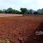 Chính chủ cần bán 1416m tại liên sơn lương sơn hòa bình