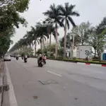 Siêu hiếm lô góc ô tô đỗ cửa, ngõ thông, 3 bước ra đường 39 giáp hải, tiện ích bạt ngàn, bán 48m2