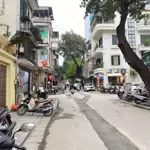 Mặt phố trần quốc toản - biệt thự sân vườn - vỉa hè - kinh doanh - sổ đỏ chính chủ