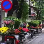 Mặt phố hàng buồm - đẳng cấp giới tính hoa - tt phố cổ tấp nập tây ta - kd sầm uất mọi loại hình