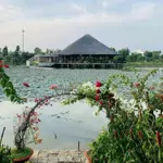Bán nhanh đất nền sổ đỏ khu d4, 77m2, giá 1,2 tỷ, liên hệ ngay