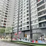 Duy nhất blue star trâu quỳ gia lâm, 60m, tầng đẹp, view ngoài, giá 49.5tr/m