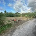 Bán đất ODT hẻm 19, Phường 4, Vĩnh Long